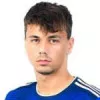 D. Spikic