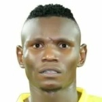 Amir Kamal Suliman Mohamed