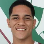 Gustavo Apis