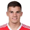 R. Zobnin