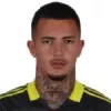 Emerson Júnior