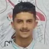 M. Belloumi