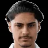 H. Yılmaz