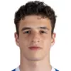 F. Luque-Notaro