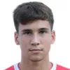 N. Vukic