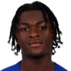 D. McNeilly