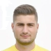 F. Stefan
