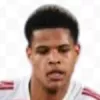 Raphaël Le Guen