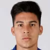 P. Fernandez