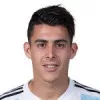 C. Pavon