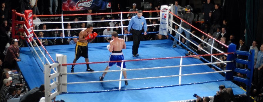 Szpilka wraca na ring