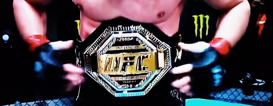 UFC 259: Błachowicz obronił tytuł! [Wyniki gali]