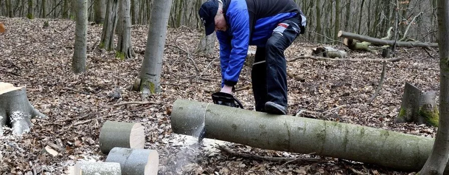 Najlepsi drwale pojawią się w Poznaniu