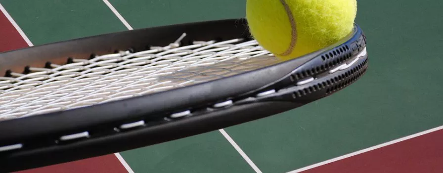 Świątek i Linette w półfinałach