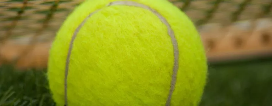 Wimbledon 2023: Kiedy i z kim zagrają Polacy?