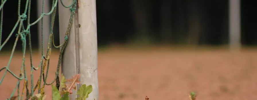 Typy bukmacherskie - 14 maja (piątek). Jakie pewniaki dnia?