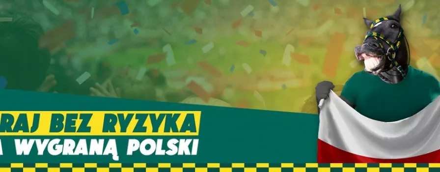 Mecz Węgry - Polska bez ryzyka na Betfan.pl!
