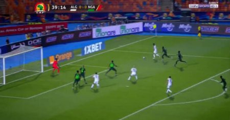 Algeria - Nigeria