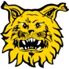 Ilves Tampere