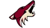 Arizona Coyotes