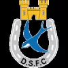 Dungannon Swifts