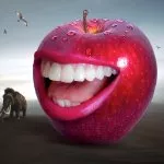 jaci66